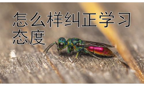 怎么样纠正学习态度，克服学习中的拖延症：高效学习的秘诀插图