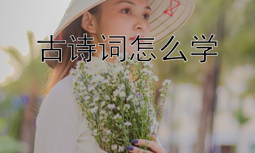 古诗词怎么学，古诗词学习中的误区与对策插图