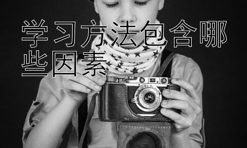 学习方法包含哪些因素，学习方法的个性化定制与反思改进插图