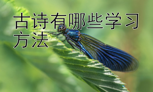 古诗有哪些学习方法，古诗学习与现代生活联系的拓展：古诗词的现代化解读与应用插图