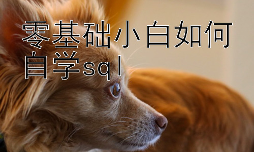 零基础小白如何自学SQL，从SQL小白到数据分析入门：进阶学习路径插图