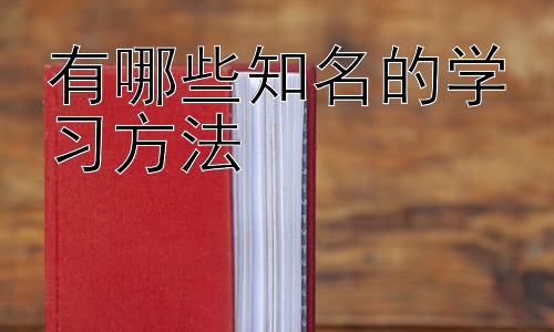 有哪些知名的学习方法，不同学习风格的学习方法选择插图