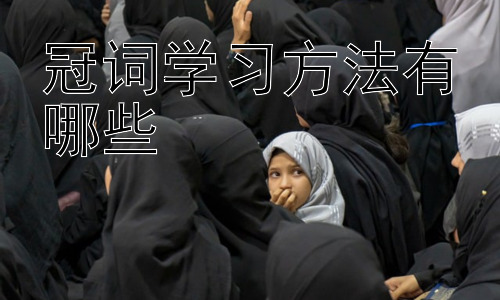 冠词学习方法有哪些，冠词学习中的常见错误及纠正方法插图