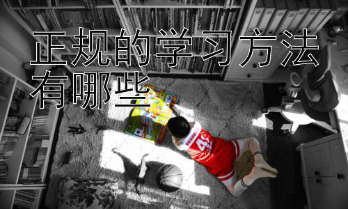 正规的学习方法有哪些，高效学习的实用策略与技巧插图
