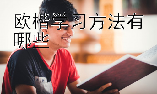 欧楷学习方法有哪些，欧楷学习进阶：如何提升欧楷书法水平插图