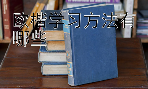 欧楷学习方法有哪些，欧楷学习中的常见误区及应对方法插图