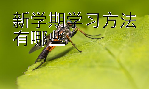 新学期学习方法有哪些，  提升学习效率的策略：如何克服拖延症？插图