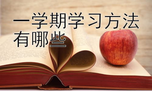 一学期学习方法有哪些，高效学习：打造你的专属学习系统插图