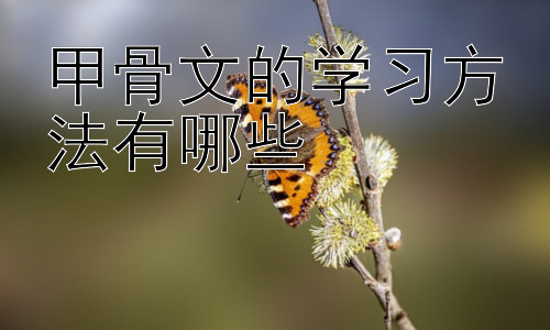 甲骨文的学习方法有哪些，甲骨文学习的误区与应对策略插图