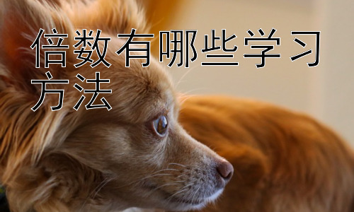 倍数有哪些学习方法，倍数与因数的联系与区别插图