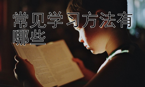 常见学习方法有哪些，不同学习风格的学习方法适配插图