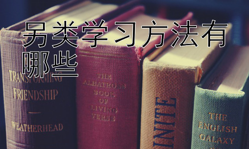另类学习方法有哪些，  如何根据自身情况选择适合的另类学习方法插图