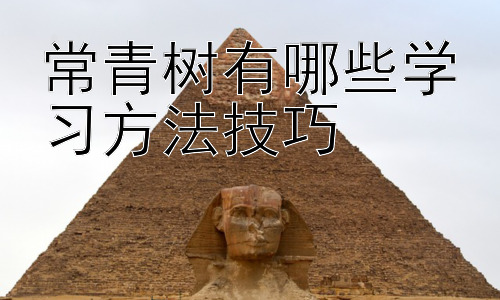 常青树有哪些学习方法技巧，  高效学习与时间管理的完美结合插图