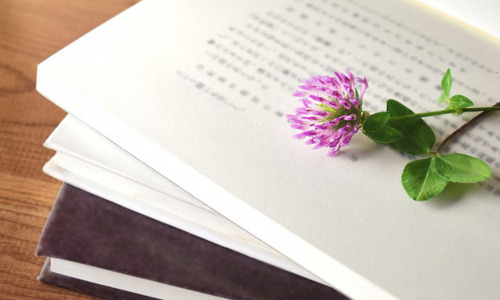 初中生学渣怎么学数学的，从“学渣”到数学达人：构建你的数学学习金字塔插图1