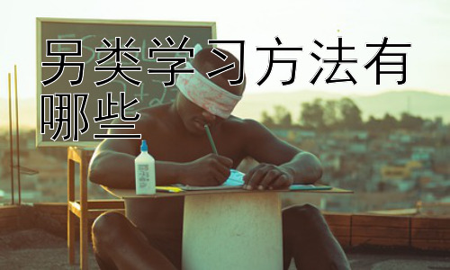 另类学习方法有哪些，  如何根据个人学习风格选择合适的另类学习方法插图