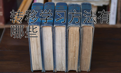 转移学习方法有哪些， 深入理解迁移学习中的微调策略插图
