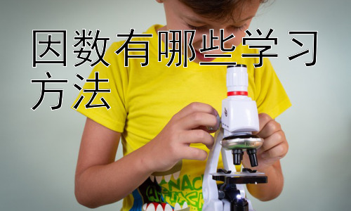 因数有哪些学习方法，因数与倍数的关系及学习方法插图