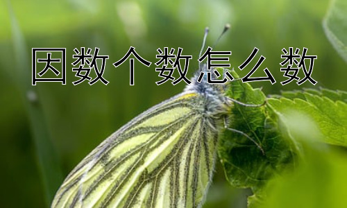 因数个数怎么数，因数个数与数的性质插图