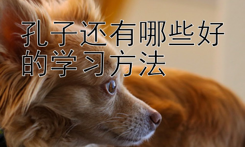 孔子还有哪些好的学习方法，  孔子学习方法的现代应用与反思插图