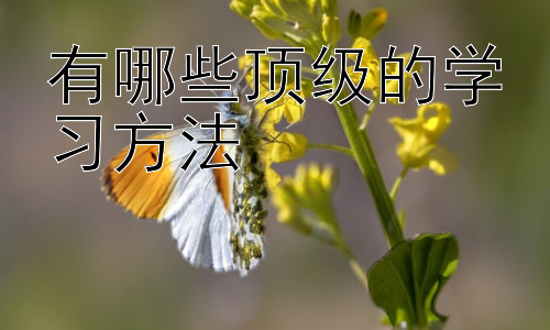 有哪些顶级的学习方法，如何将顶级学习方法融入日常生活插图