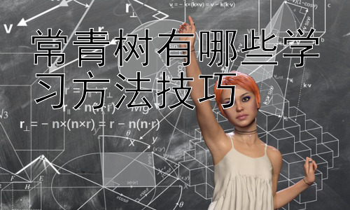 常青树有哪些学习方法技巧，持续学习：常青树学习者的进阶之路插图