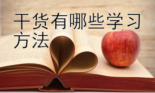 干货有哪些学习方法，提升学习效率的实用技巧：从细节入手插图