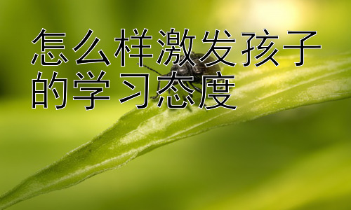 怎么样激发孩子的学习态度，培养孩子自主学习能力：激发学习内驱力的关键插图