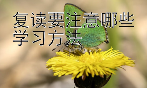 复读要注意哪些学习方法，复读生的心理调适与压力管理-图片1