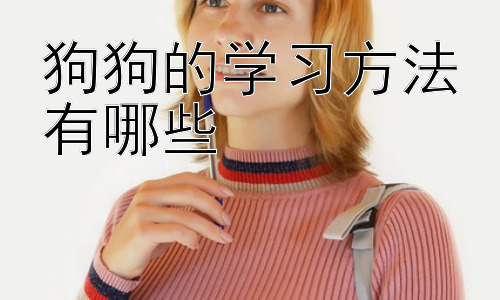 狗狗的学习方法有哪些，狗狗不同年龄段的训练方法差异插图