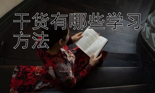 干货有哪些学习方法，拓展：如何提升学习效率的实用策略插图