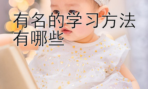 有名的学习方法有哪些 ，  如何根据自身学习风格选择学习方法？插图