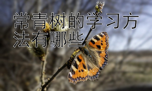 常青树的学习方法有哪些，高效学习的个性化策略：找到属于你的学习密码插图
