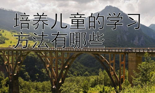培养儿童的学习方法有哪些，从学习方法到学习习惯的养成插图