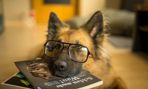 如何保护眼睛六岁儿童英语，Understanding Myopia in Six-Year-Olds插图2
