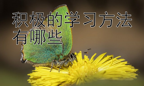 积极的学习方法有哪些，  学习方法的个性化定制与长期坚持插图