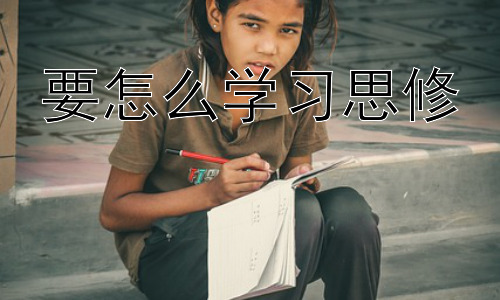 要怎么学习思修，思修学习的实践与应用：从理论到生活插图