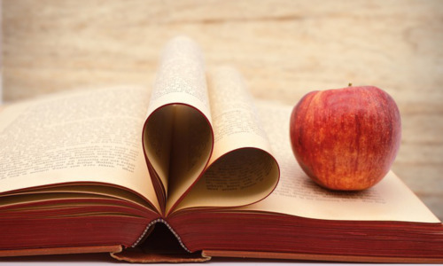 怎么摆正入学前的心态，入学后如何帮助孩子适应小学生活插图
