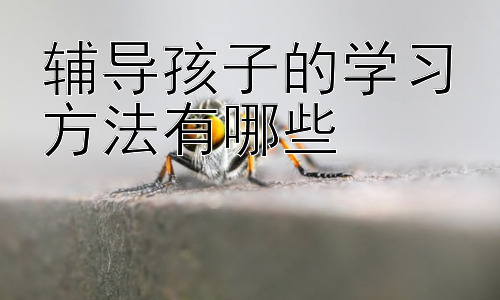 辅导孩子的学习方法有哪些，  如何帮助孩子克服学习中的负面情绪插图