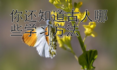 你还知道古人哪些学习方法，古人学习方法的现代应用与反思-图片1