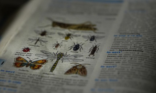 高三数学线差法怎么学，拓展：线差法在高考数学中的应用与策略插图2