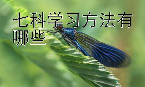 七科学习方法有哪些，不同学科学习方法的整合与高效时间管理插图