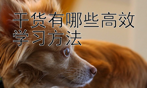 干货有哪些高效学习方法，高效学习的误区及突破方法插图