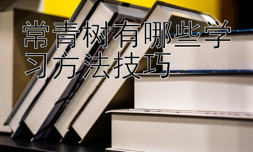 常青树有哪些学习方法技巧，  学习中的自我激励与持续改进插图