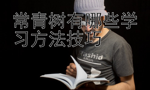 常青树有哪些学习方法技巧，  提升学习效率的实用策略插图