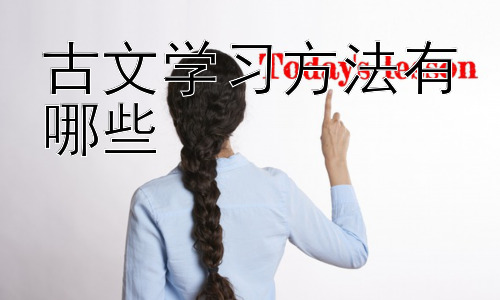 古文学习方法有哪些，拓展：如何提高文言文阅读速度和理解能力插图