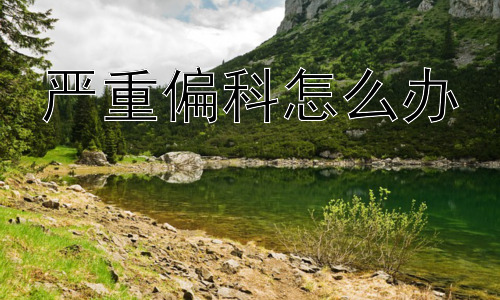 严重偏科怎么办， 从兴趣出发，突破偏科困境插图