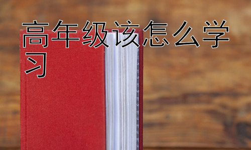 高年级该怎么学习，高年级学习：学科策略的个性化选择插图