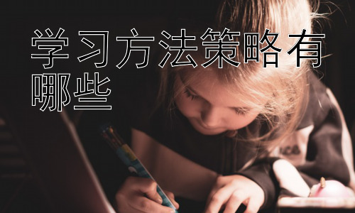 学习方法策略有哪些，不同学习风格的学习策略选择插图