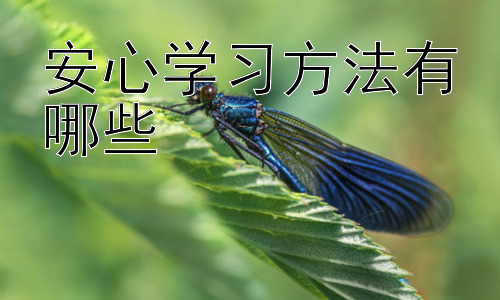 安心学习方法有哪些，高效学习的实用技巧：时间管理与番茄工作法插图