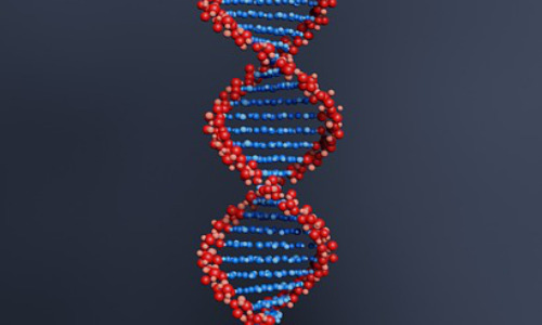 初一学生如何写好作文，如何克服初一作文写作中的常见问题插图